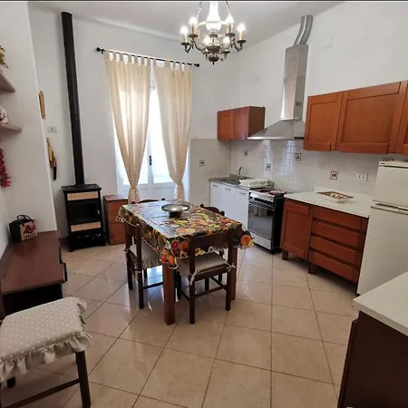 Danila's House